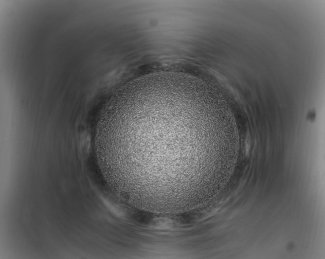 X0000101100703200807031751