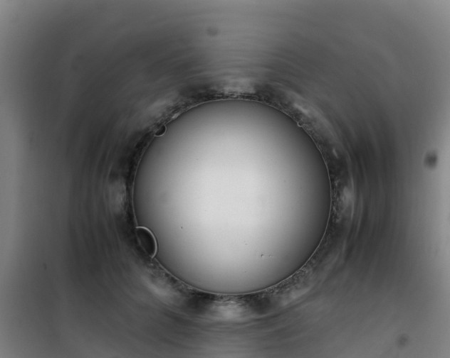 X0000101100704200807031751
