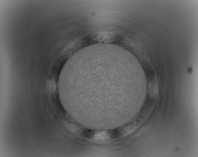 X0000101100705200807031751