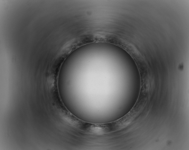 X0000101100706200807031751