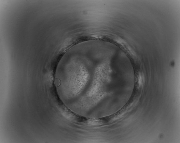 X0000101100707200807031751
