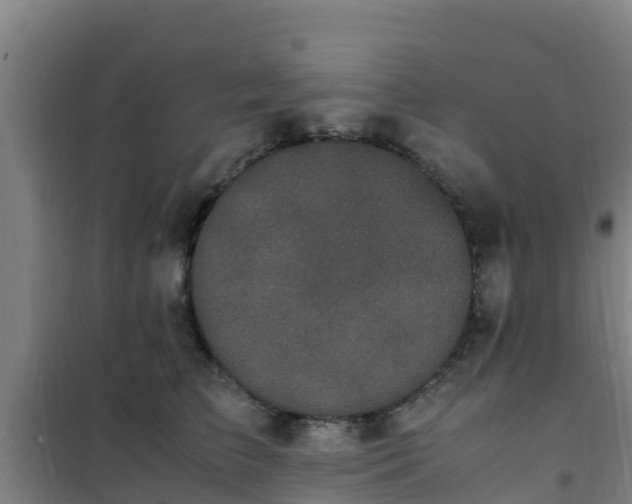X0000101100709200807031751