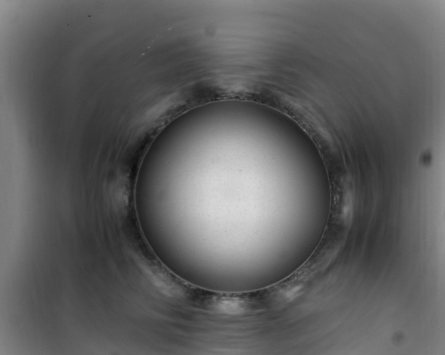 X0000101100710200807031751