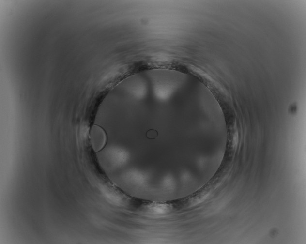 X0000101100711200807031751