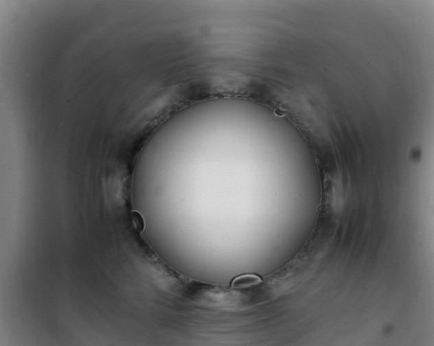 X0000101100712200807031751