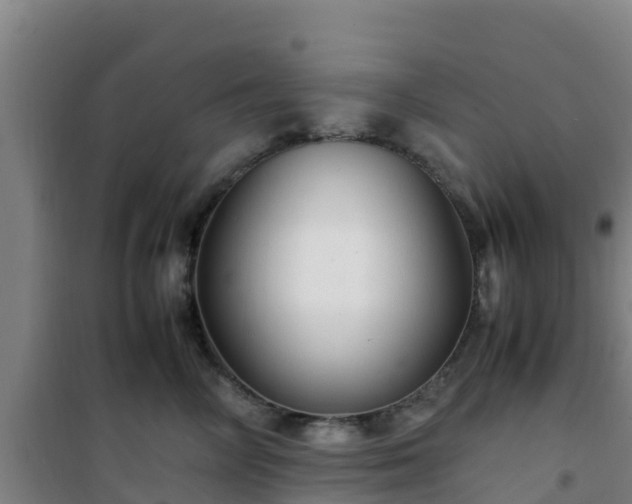 X0000101100714200807031751