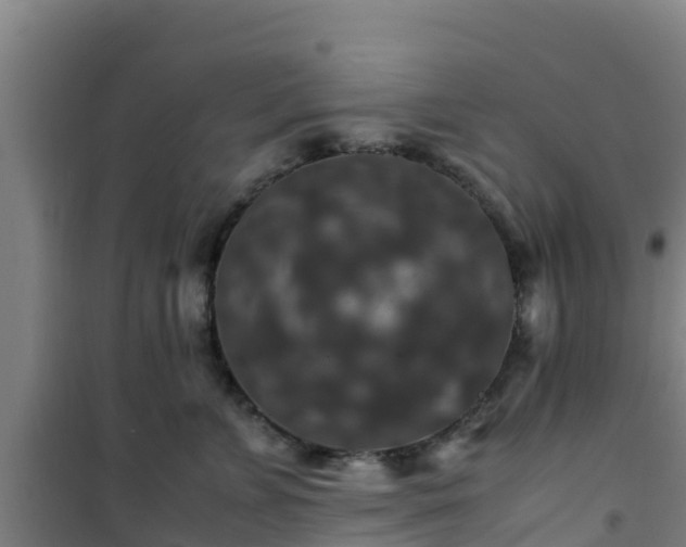 X0000101100715200807031751