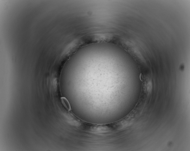 X0000101100716200807031751