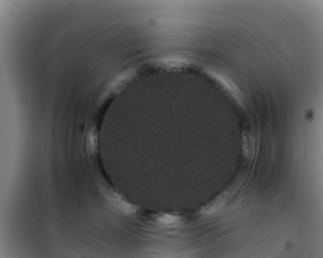 X0000101100718200807031750