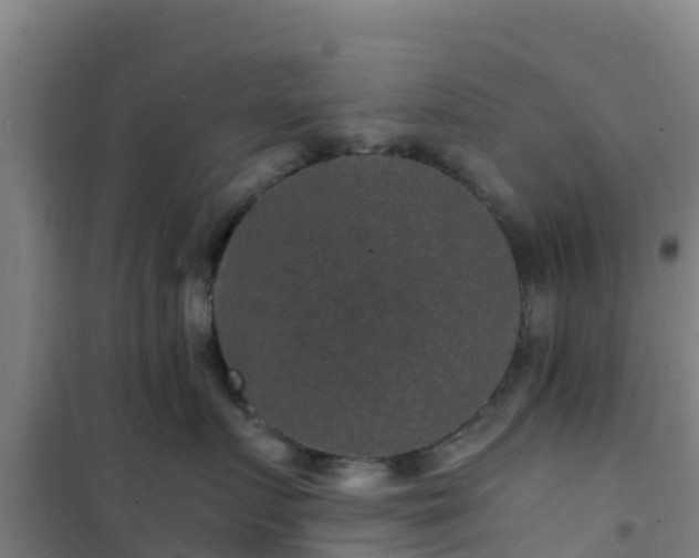X0000101100719200807031750