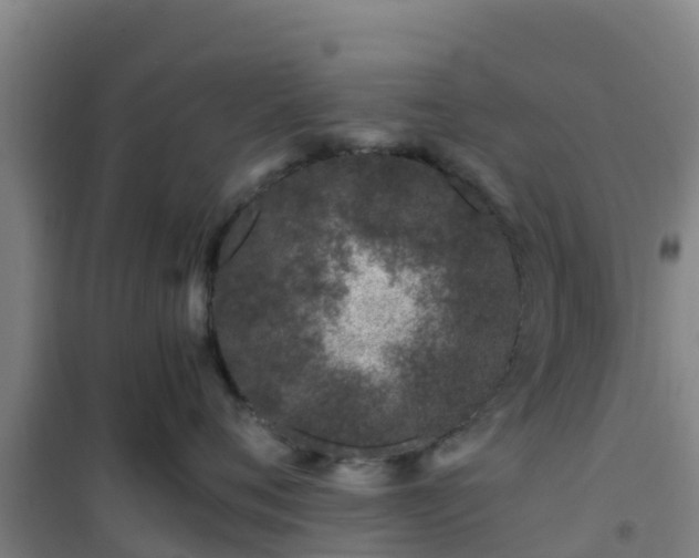 X0000101100720200807031750