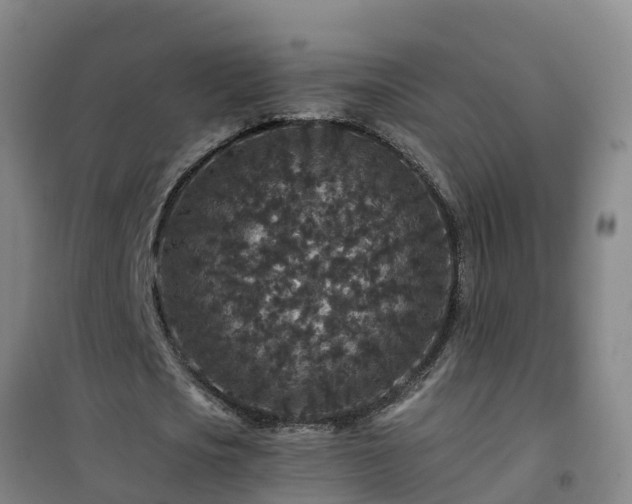 X0000101100721200807031750
