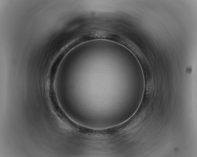X0000101100722200807031750