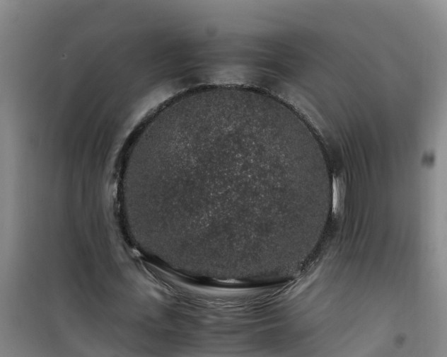 X0000101100723200807031750
