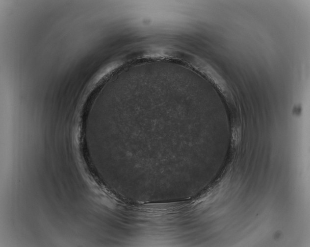 X0000101100724200807031750