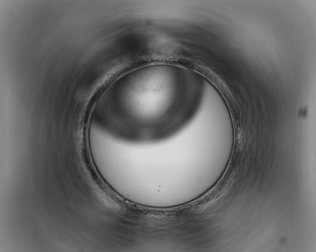 X0000101100725200807031750