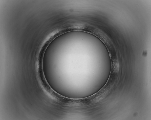 X0000101100726200807031750