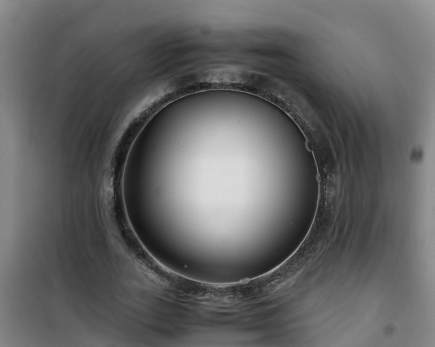 X0000101100727200807031750