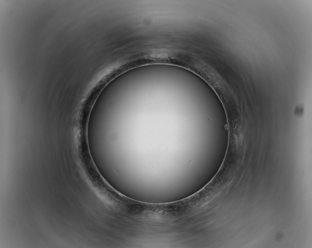 X0000101100728200807031750