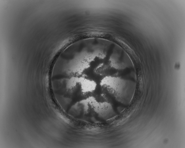 X0000101100729200807031750