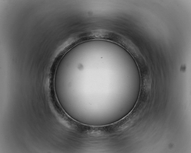 X0000101100730200807031750