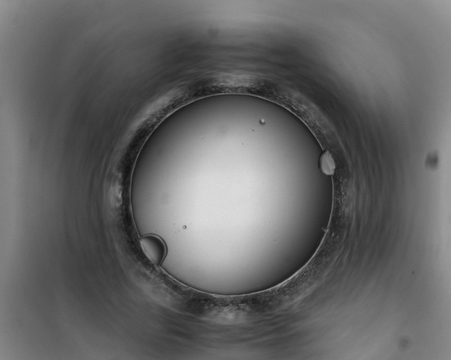 X0000101100731200807031750