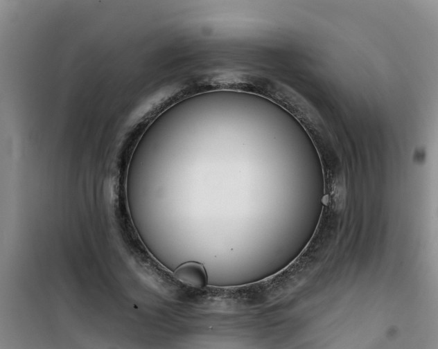 X0000101100732200807031750