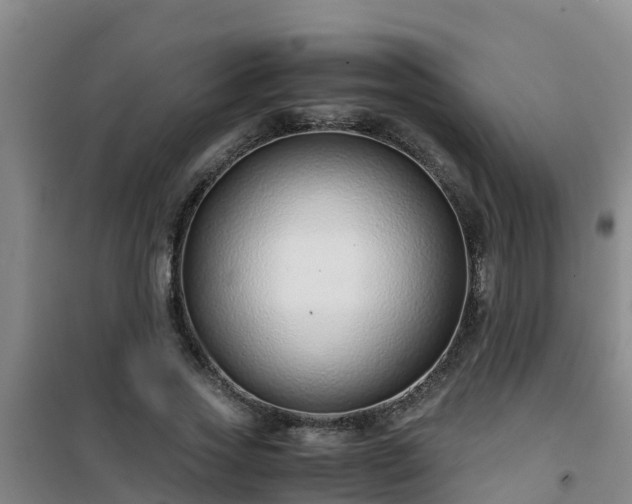 X0000101100733200807031750