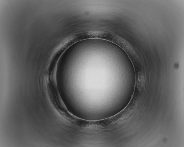 X0000101100734200807031750