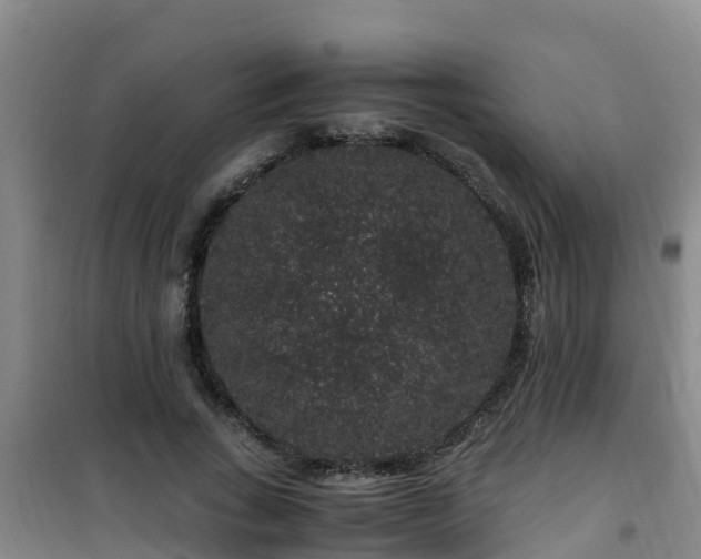 X0000101100735200807031750