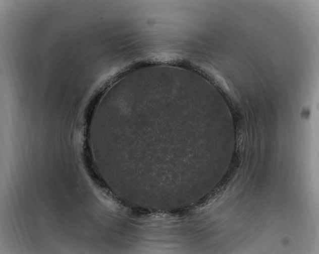 X0000101100736200807031750