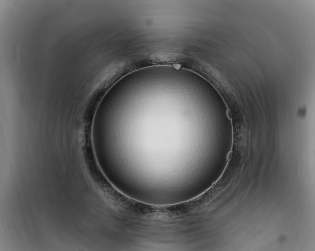 X0000101100738200807031750