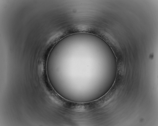 X0000101100740200807031750
