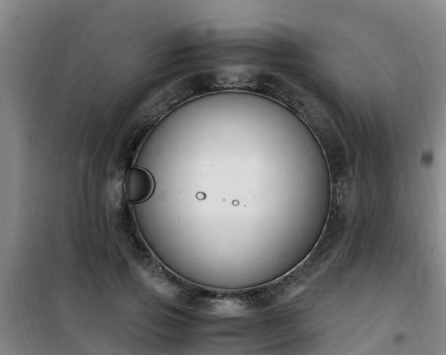 X0000101100741200807031750