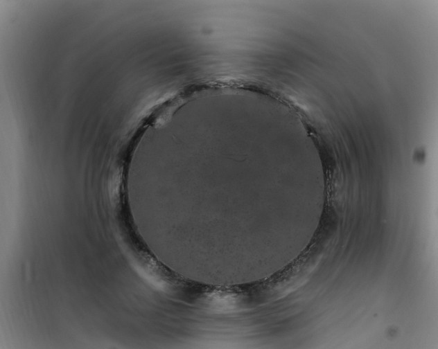 X0000101100742200807031750