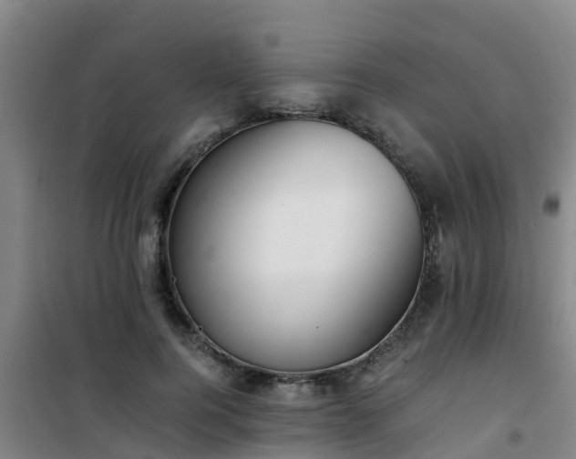 X0000101100744200807031750