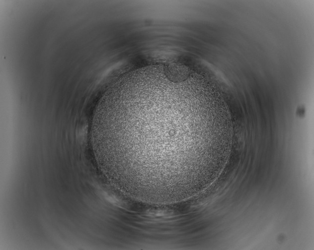 X0000101100745200807031750