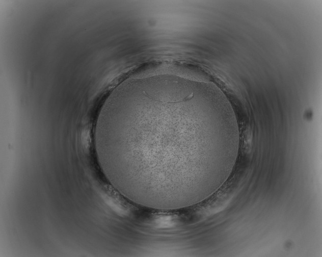X0000101100746200807031750