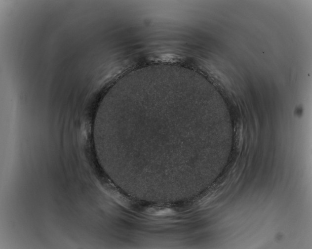 X0000101100747200807031750