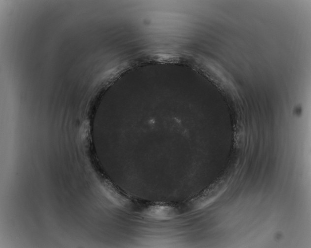 X0000101100748200807031750