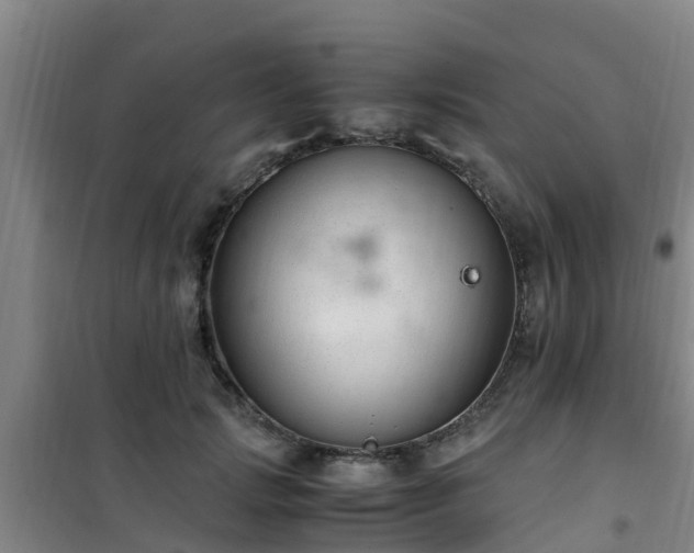 X0000101100749200807031750