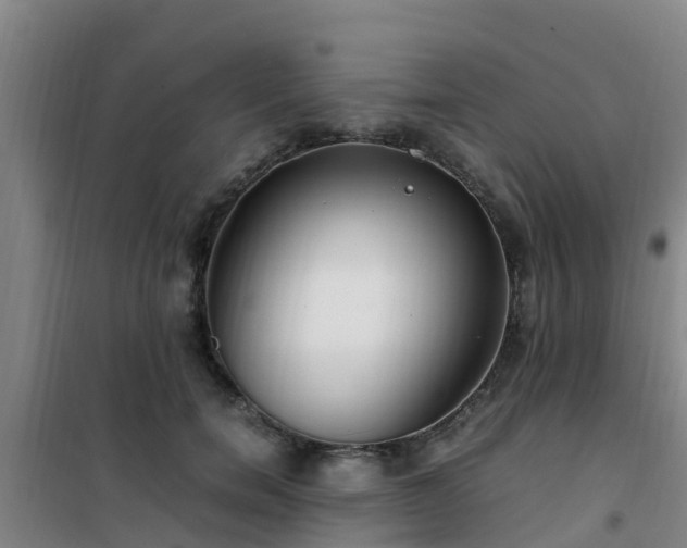 X0000101100750200807031750