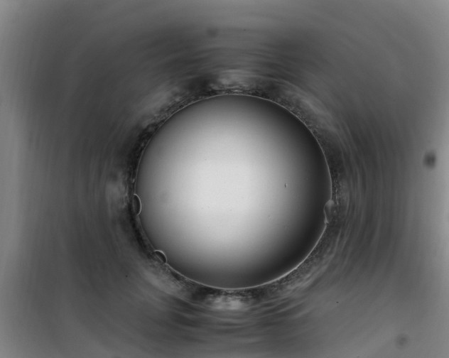 X0000101100751200807031750