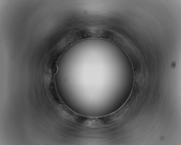 X0000101100752200807031750