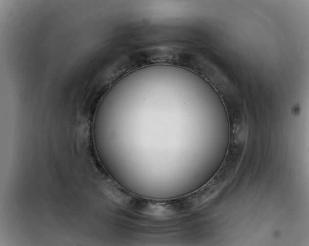 X0000101100753200807031750