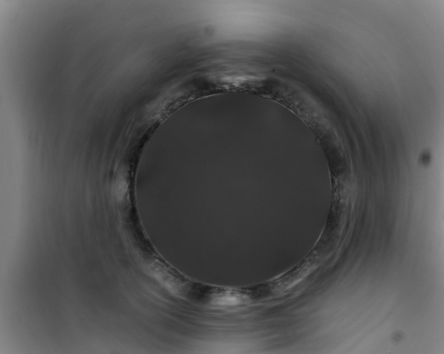 X0000101100754200807031750