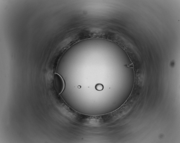 X0000101100756200807031750
