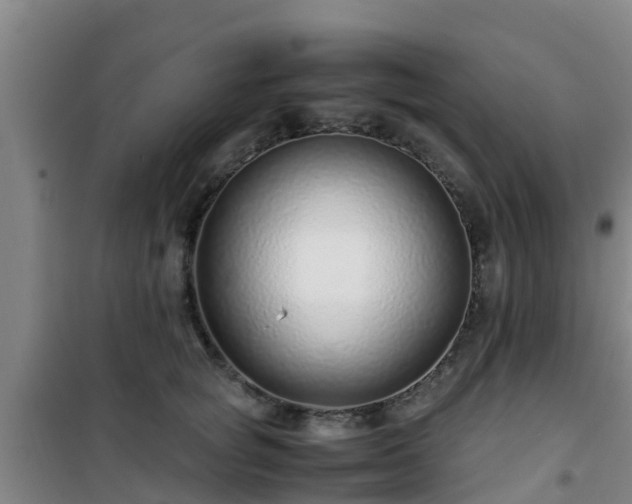 X0000101100757200807031750