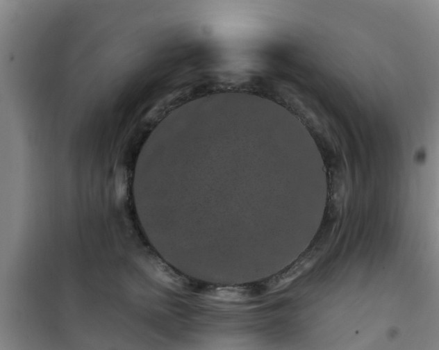 X0000101100758200807031750