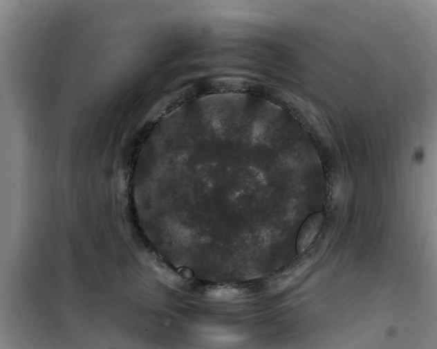 X0000101100759200807031750